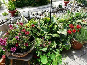 المنطقة المحيطة بالمنشأة