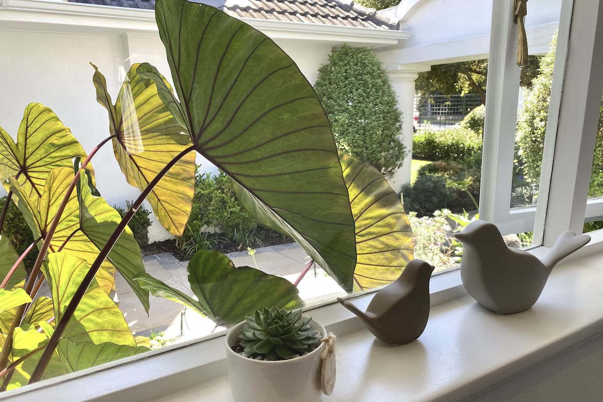 Design kamer, 1 slaapkamer | 1 slaapkamer, lakens van Egyptisch katoen, luxe beddengoed