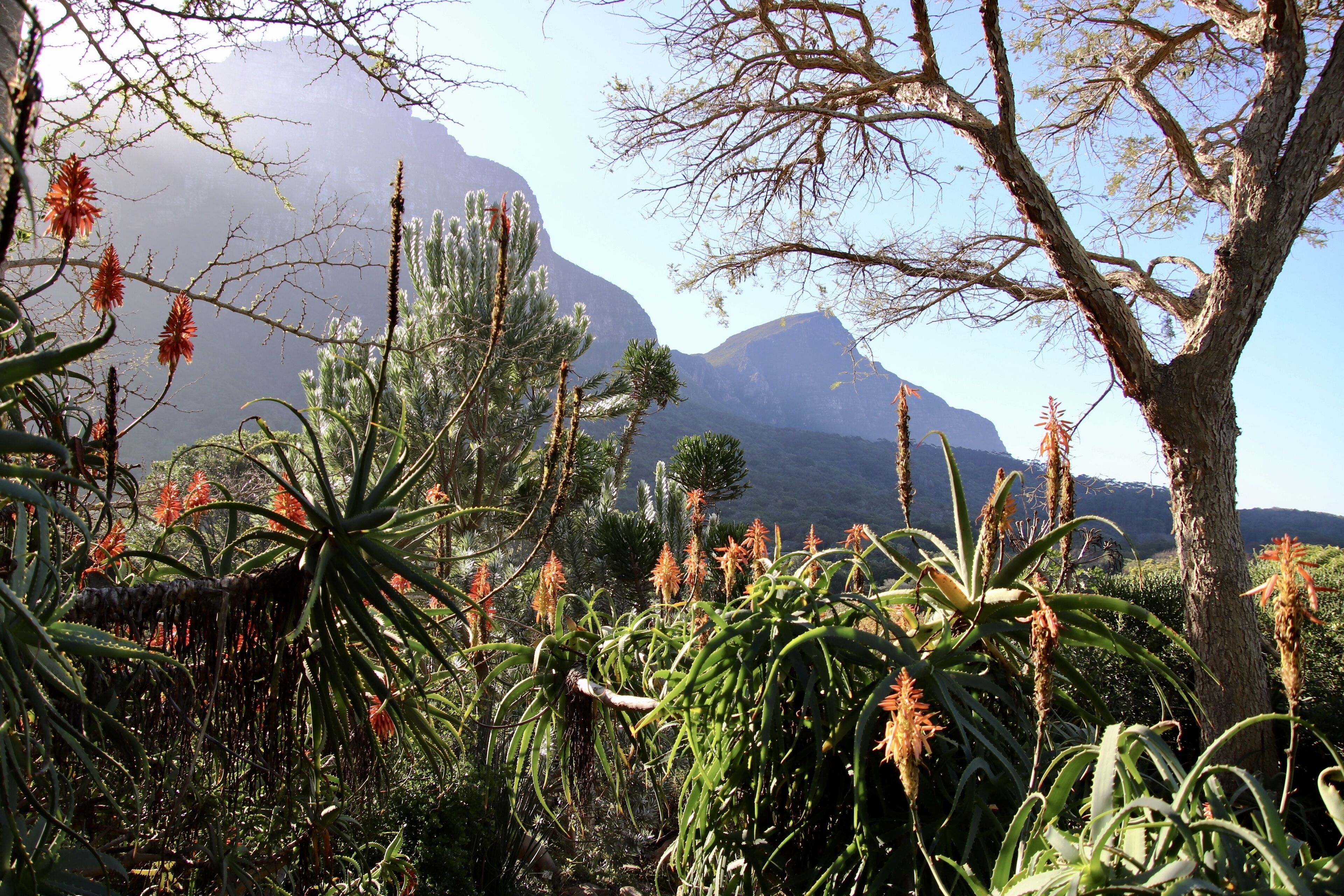 Foto - The Dongola Guesthouse