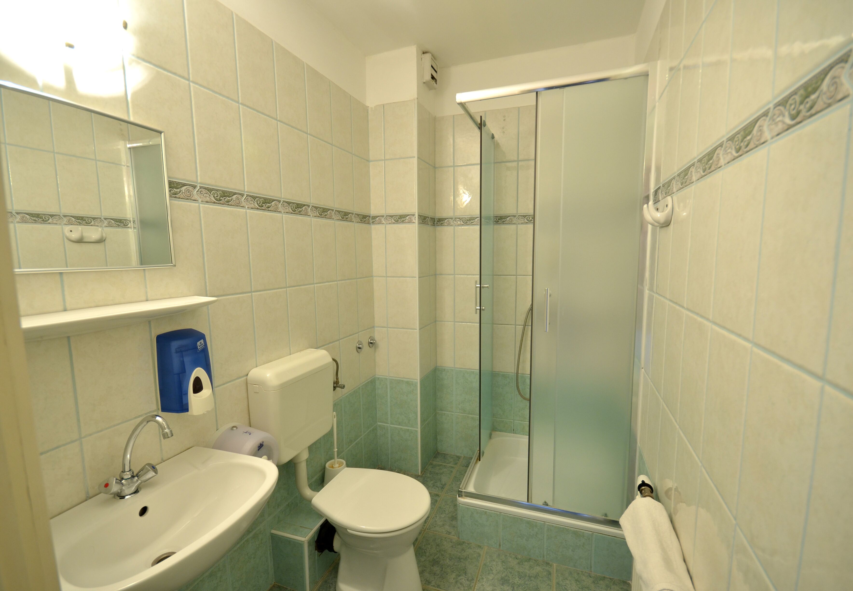 Een badkamer met een wastafel, toilet en douchecabine.