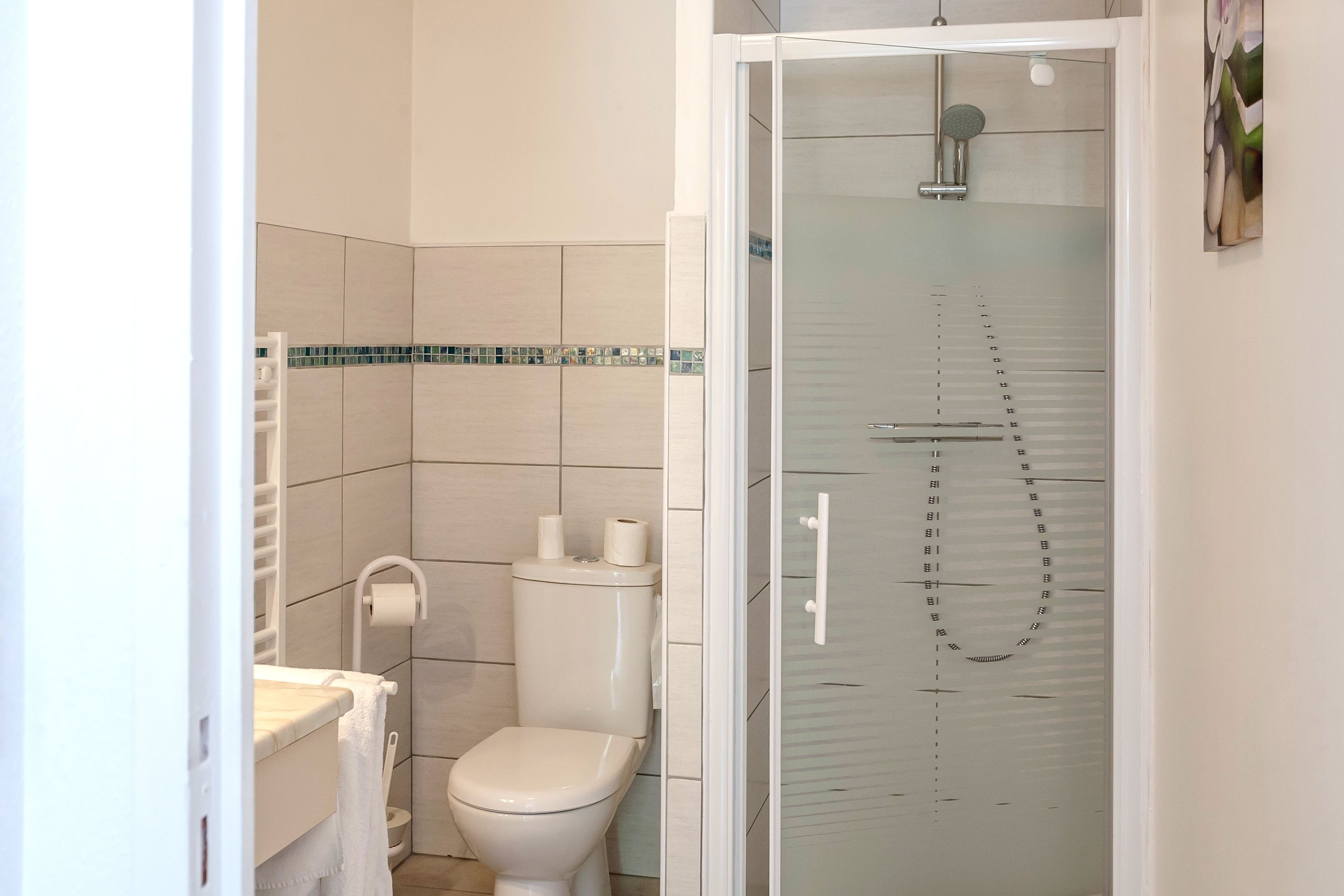 A bathroom with a toilet, a shower, and a glass-enclosed shower stall.