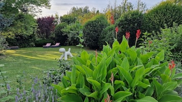 Vista al jardín