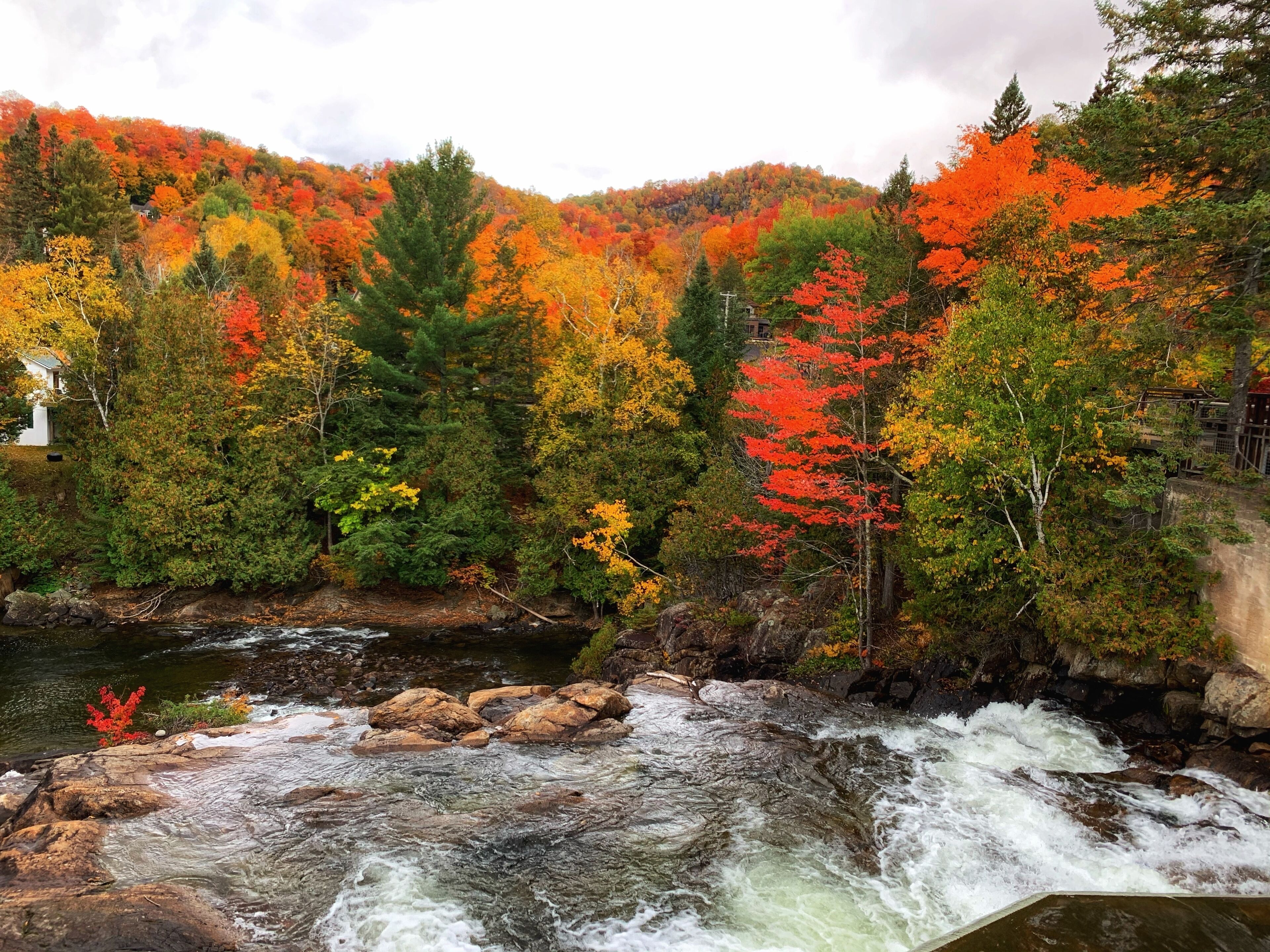 A river flowing through a forest with autumn foliage.