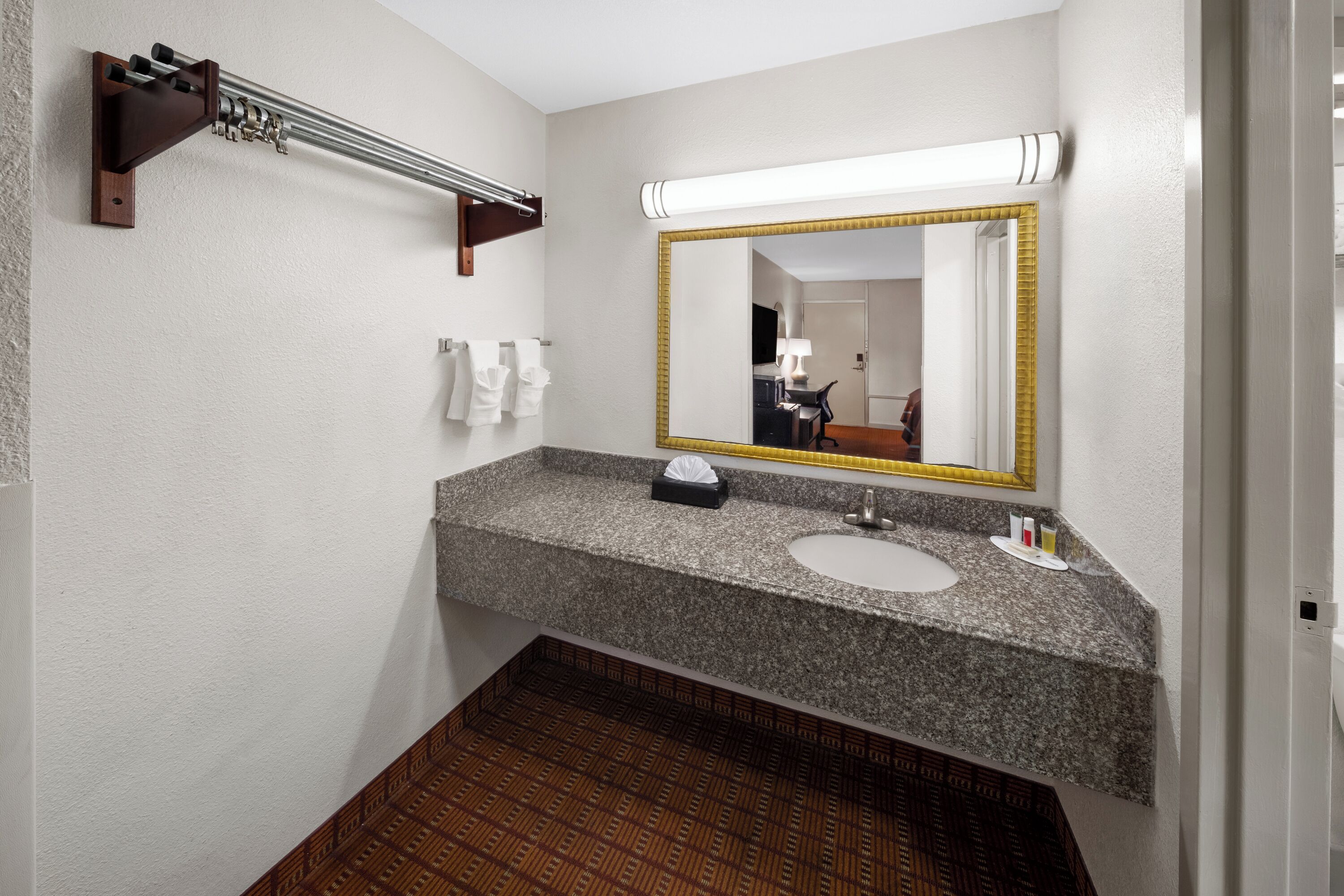 Un baño con encimera de granito, un lavamanos, un espejo con marco dorado, un perchero y un suelo con estampado.