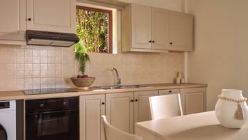 Una cocina con lavavajillas, horno, pileta y una ventana con planta.