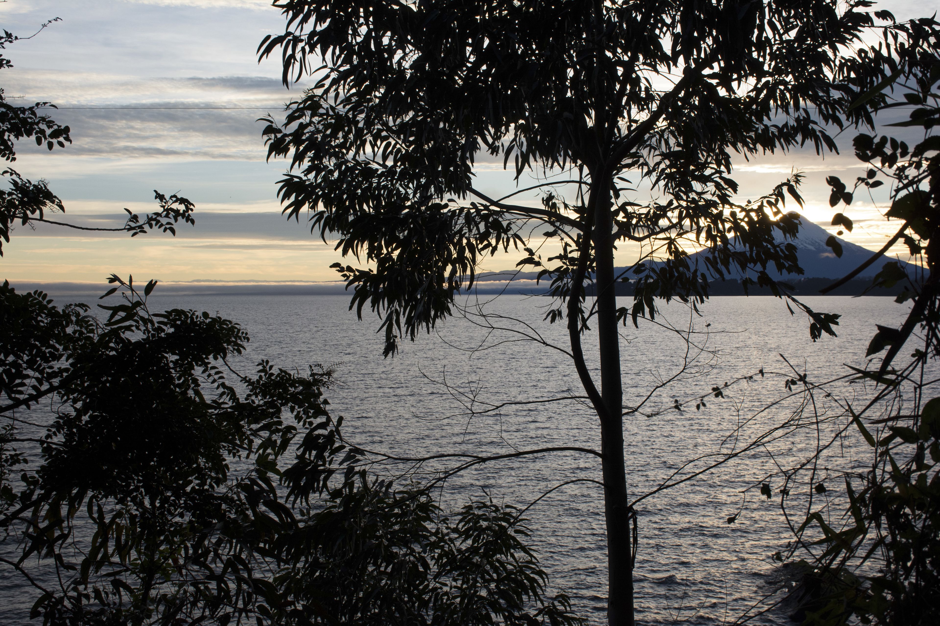 Foto - Hotel Borde Lago