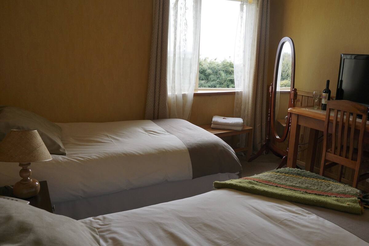 A hotel room with two beds, a desk with a television, a mirror, and a window with curtains.