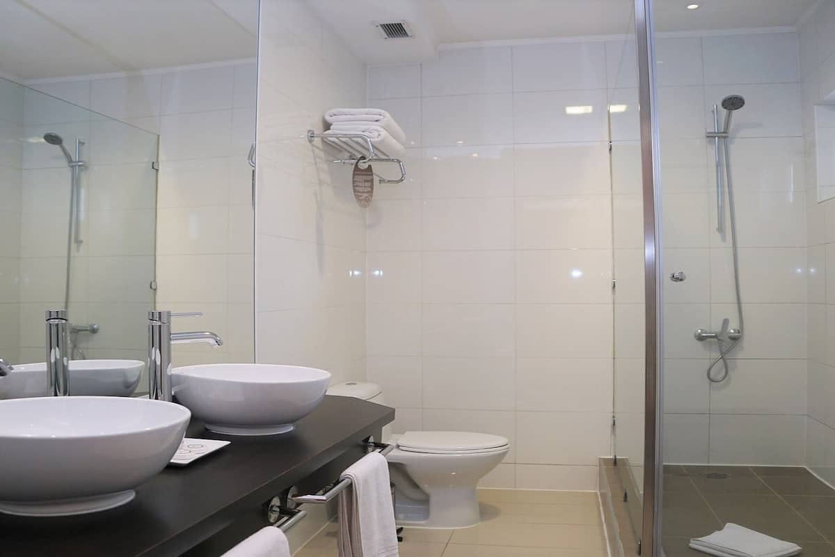 shower, rainfall showerhead, free toiletries, hair dryer