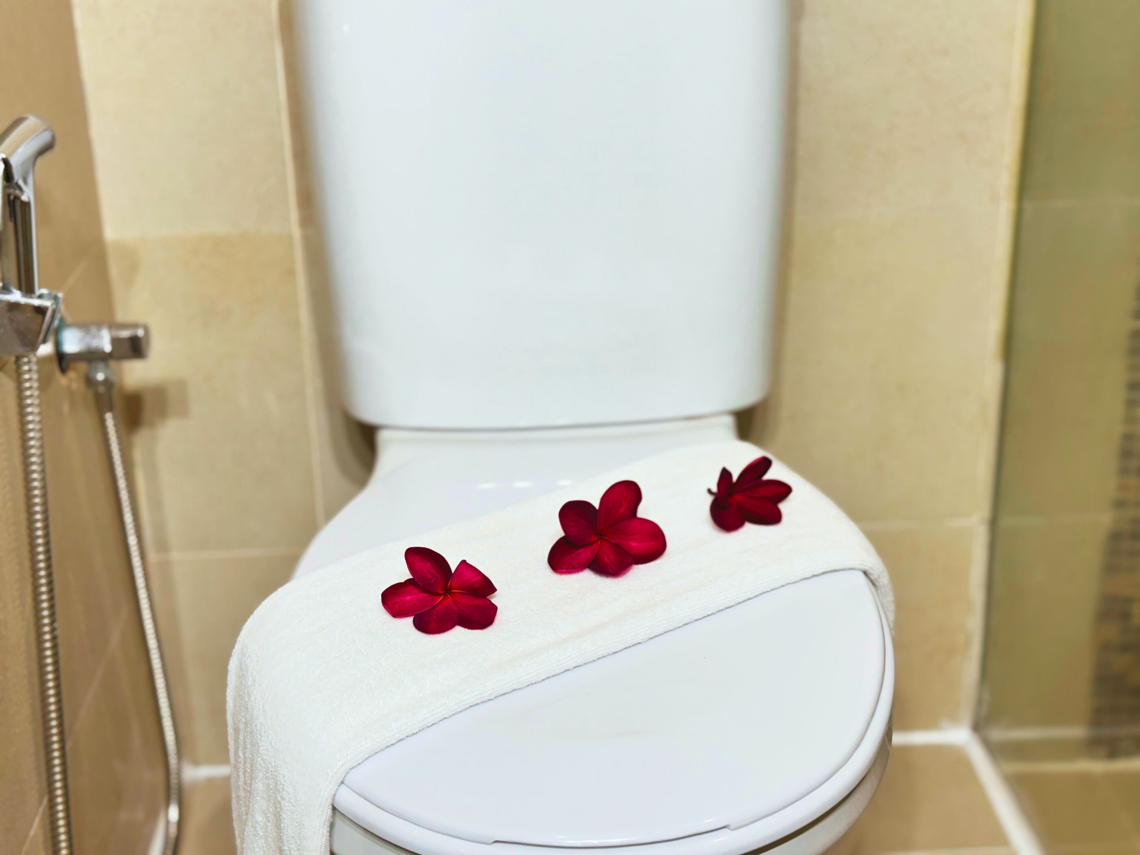 A toilet with a white seat and a shower head to the left.