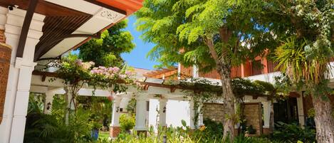 A covered outdoor area with a pergola, potted plants, and a tree.