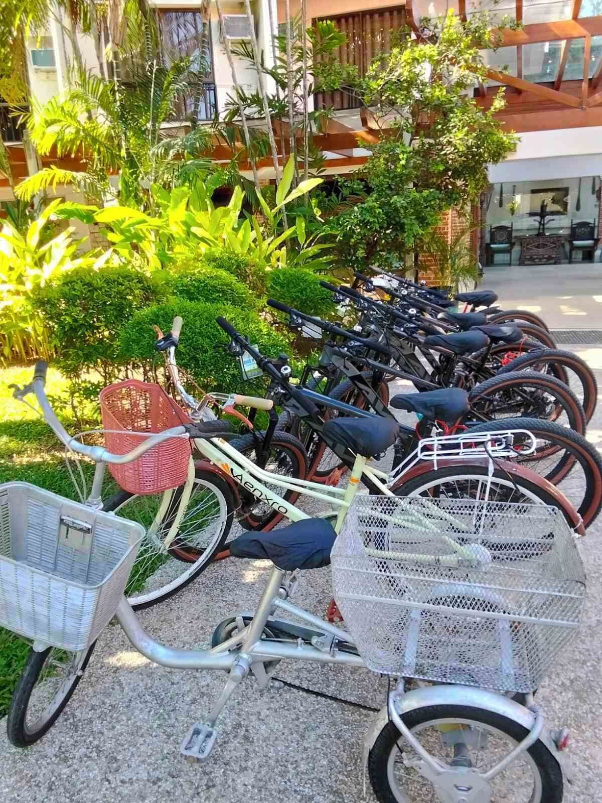 A row of bicycles parked outdoors with baskets attached, surrounded by greenery and buildings in the background.