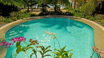 2 albercas al aire libre, sombrillas en la alberca y camastros