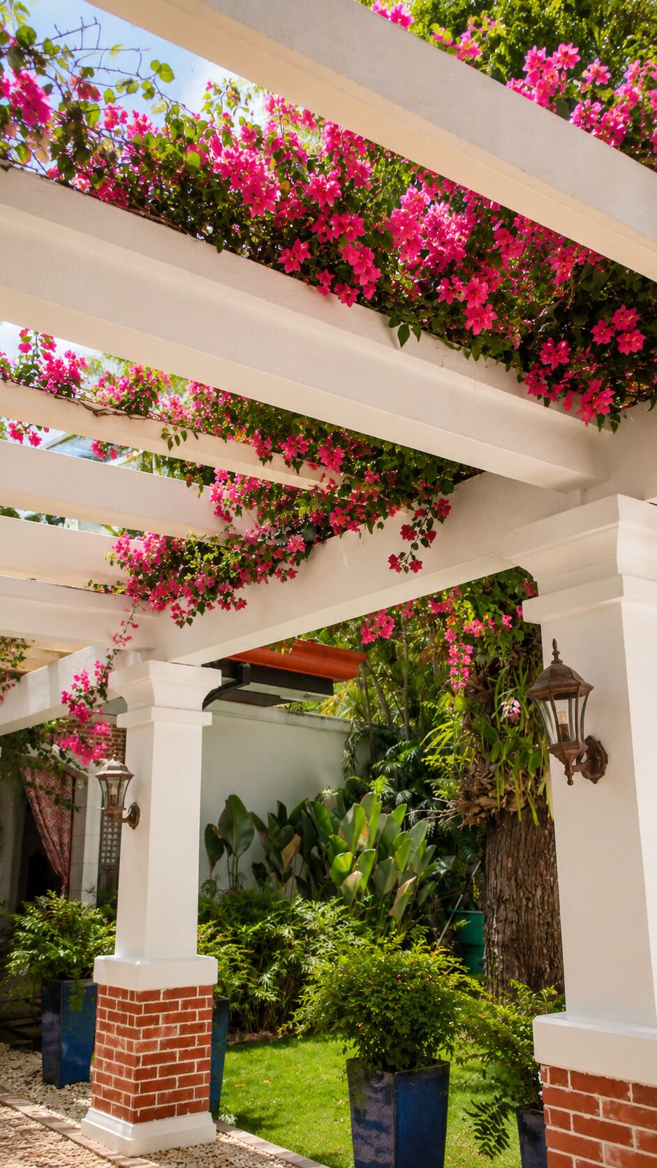 Un jardín cubierto con una pérgola blanca, abundante vegetación y plantas de flores rosadas.