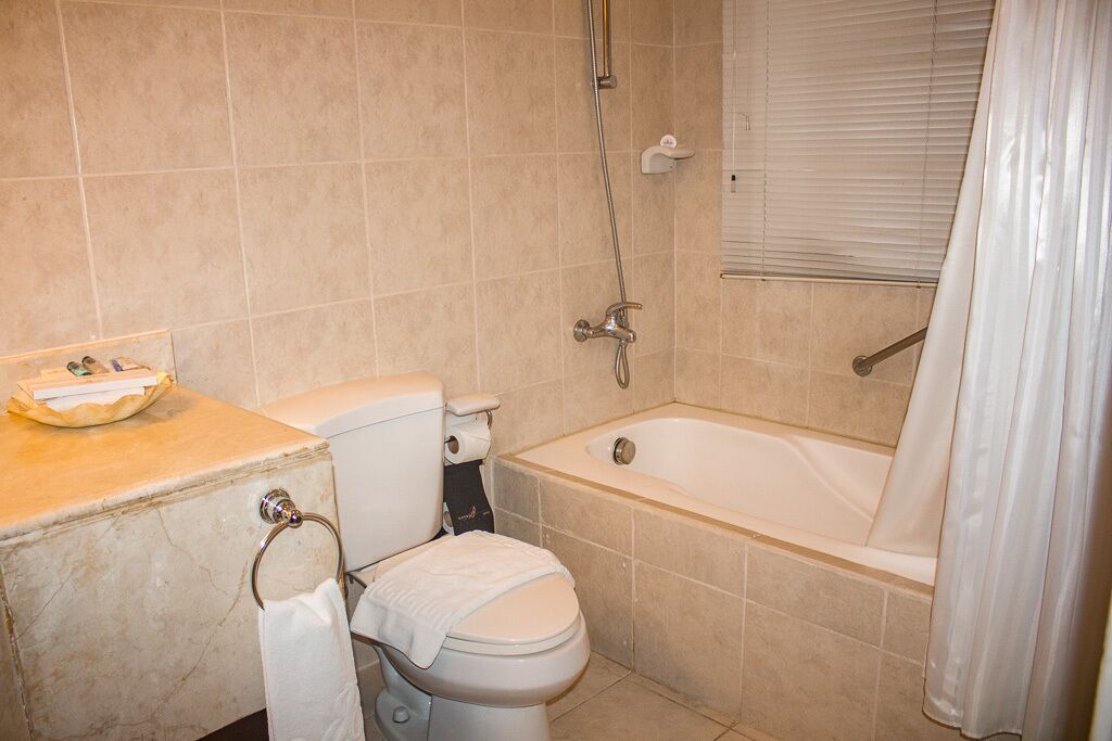 A bathroom with a toilet, a bathtub, and a shower.