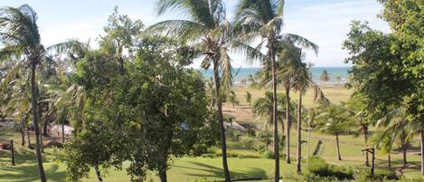 A tropical landscape with palm trees, a golf course, and a view of the ocean.