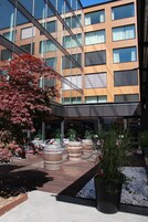 Standard Room (Free Breakfast) | Terrace/patio