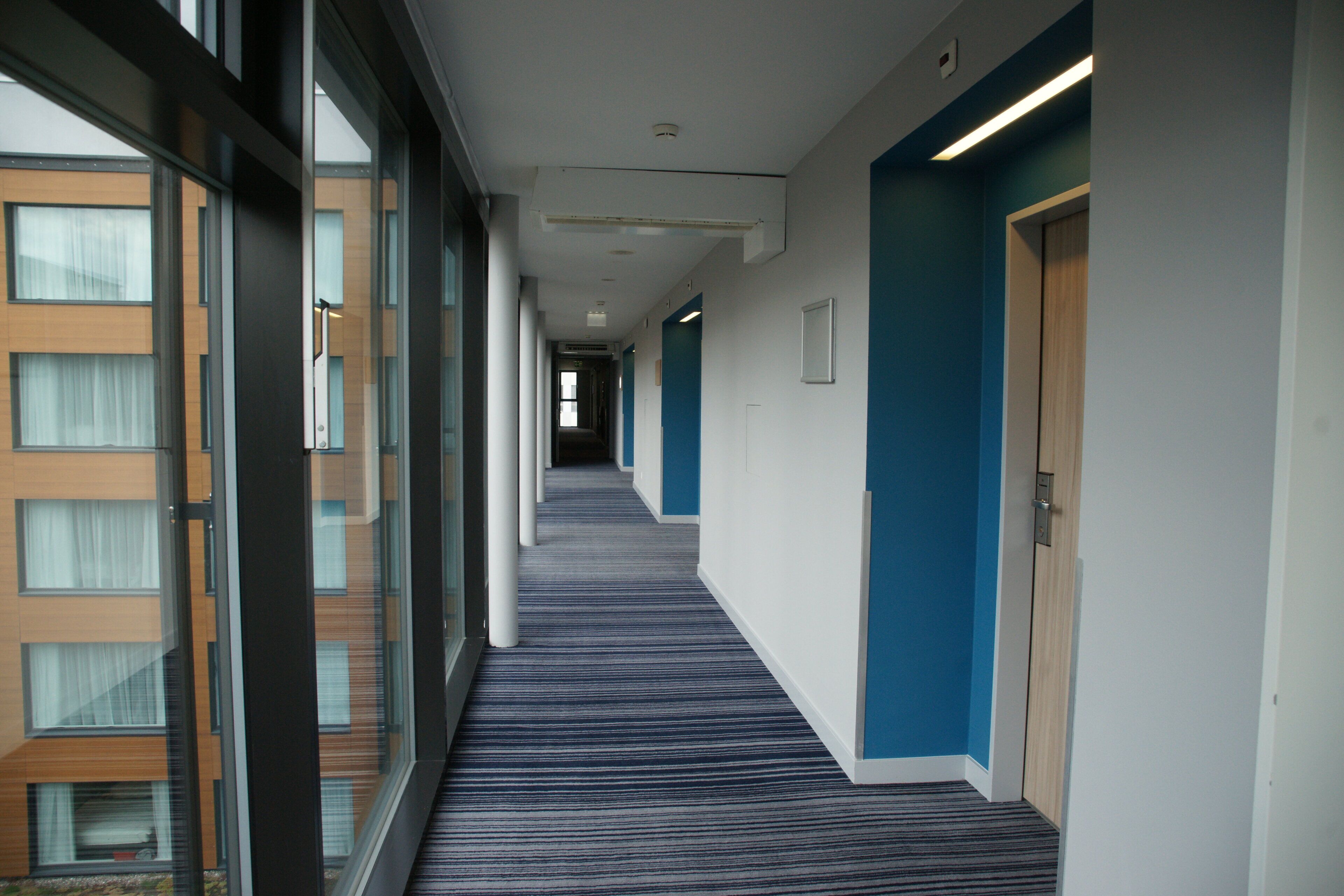 A corridor with a patterned carpet, glass walls, and doors leading to rooms.