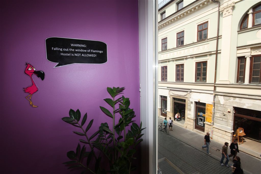 Photo - Flamingo Premium Hostel