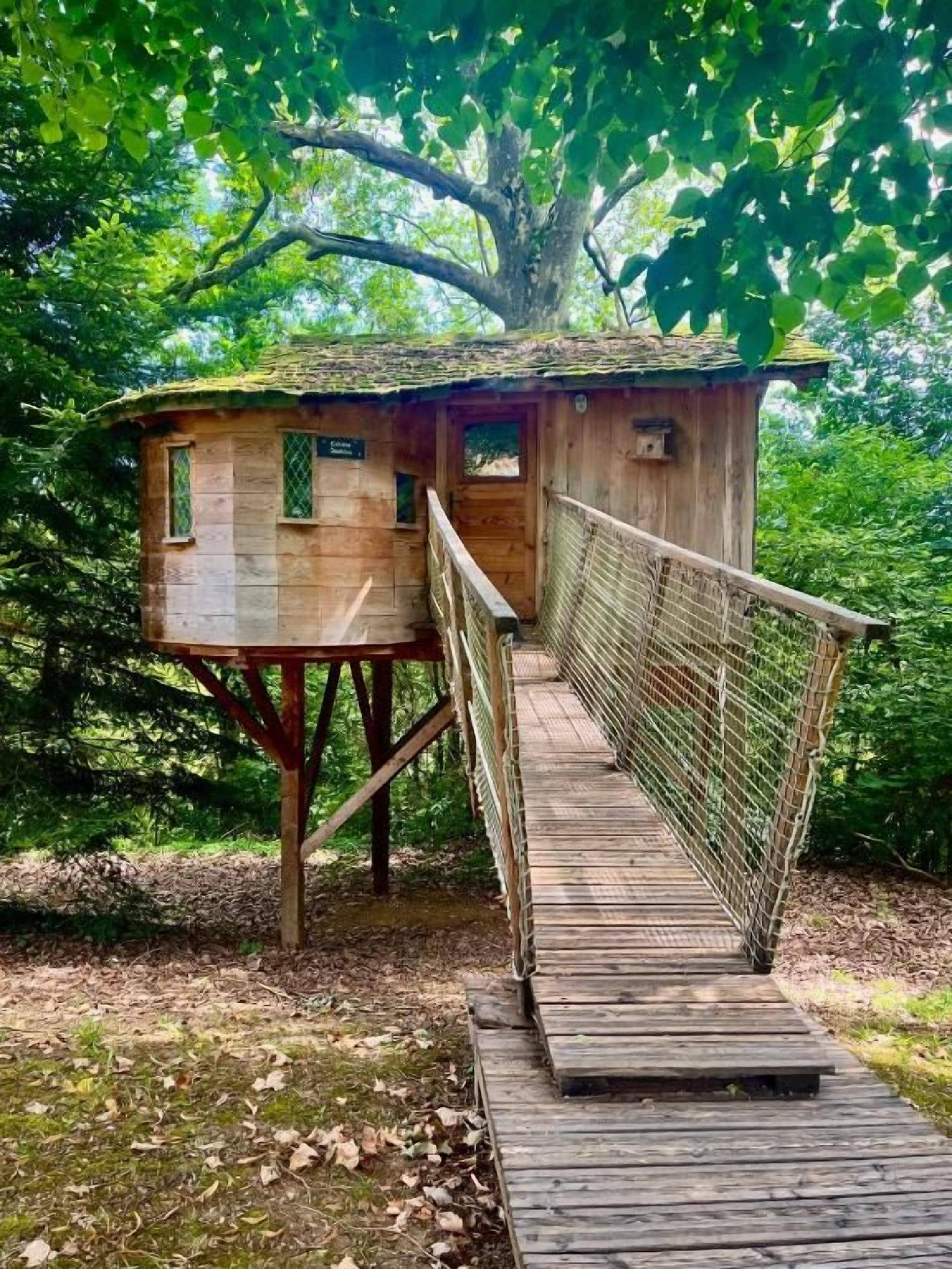 A wooden treehouse with a wooden deck and a rope ladder.