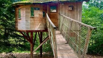 A wooden treehouse with a wooden deck and a rope ladder.