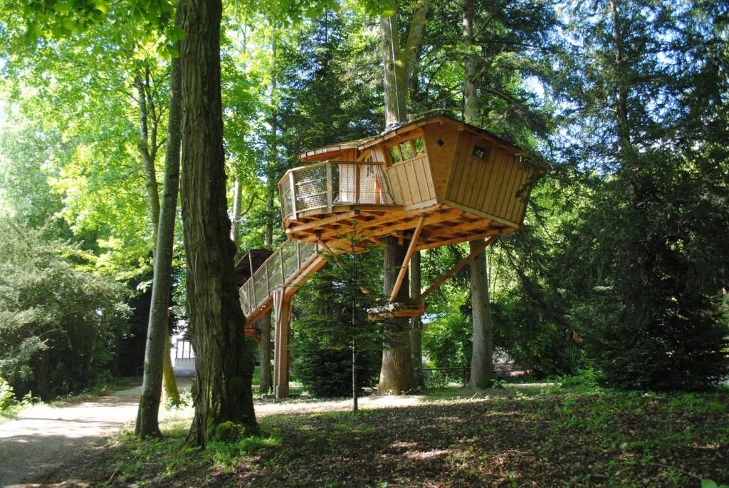 Una estructura tipo casa del árbol construida en un área boscosa, con una plataforma de madera y una escalera que lleva a ella.