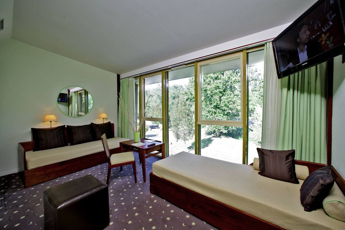 Une chambre d’hôtel avec un canapé, un lit, un bureau et une télévision.