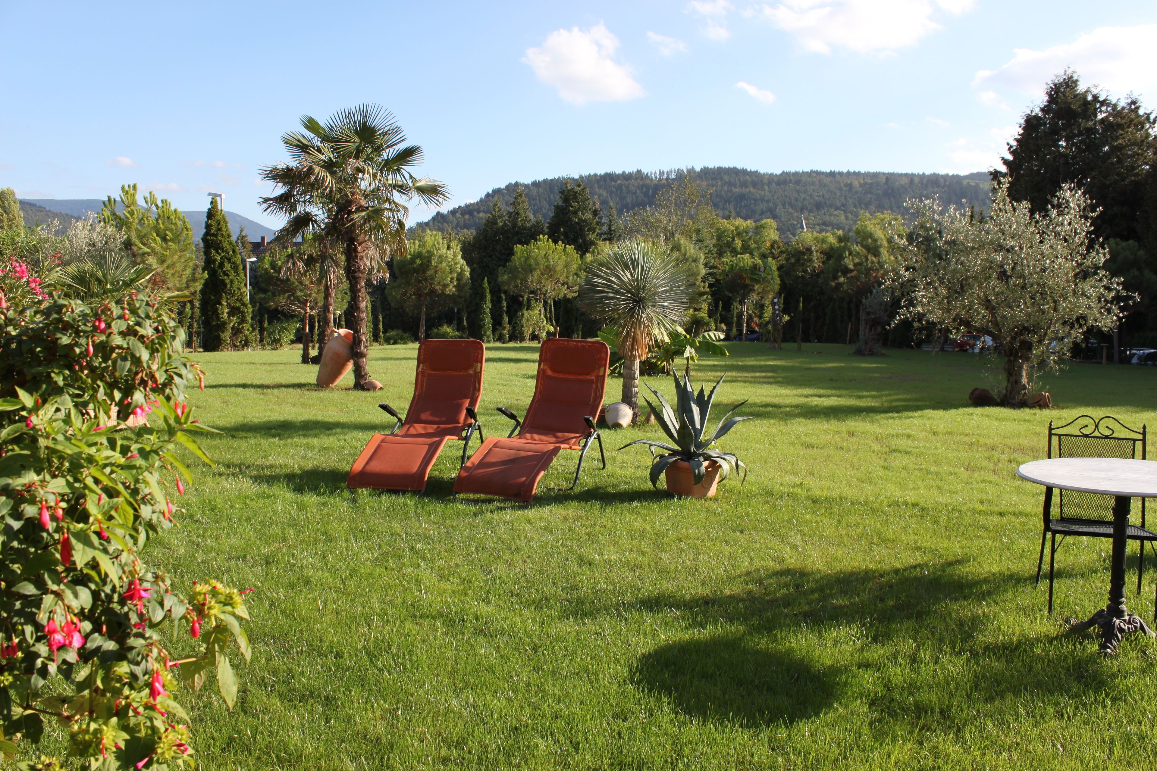 A grassy outdoor area with two red lounge chairs and a table, surrounded by various plants and trees.