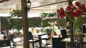 An outdoor dining area with tables and chairs, surrounded by potted plants and a canopy.
