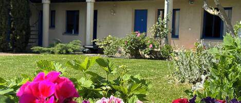 A building with blue balconies and a garden with various flowers.