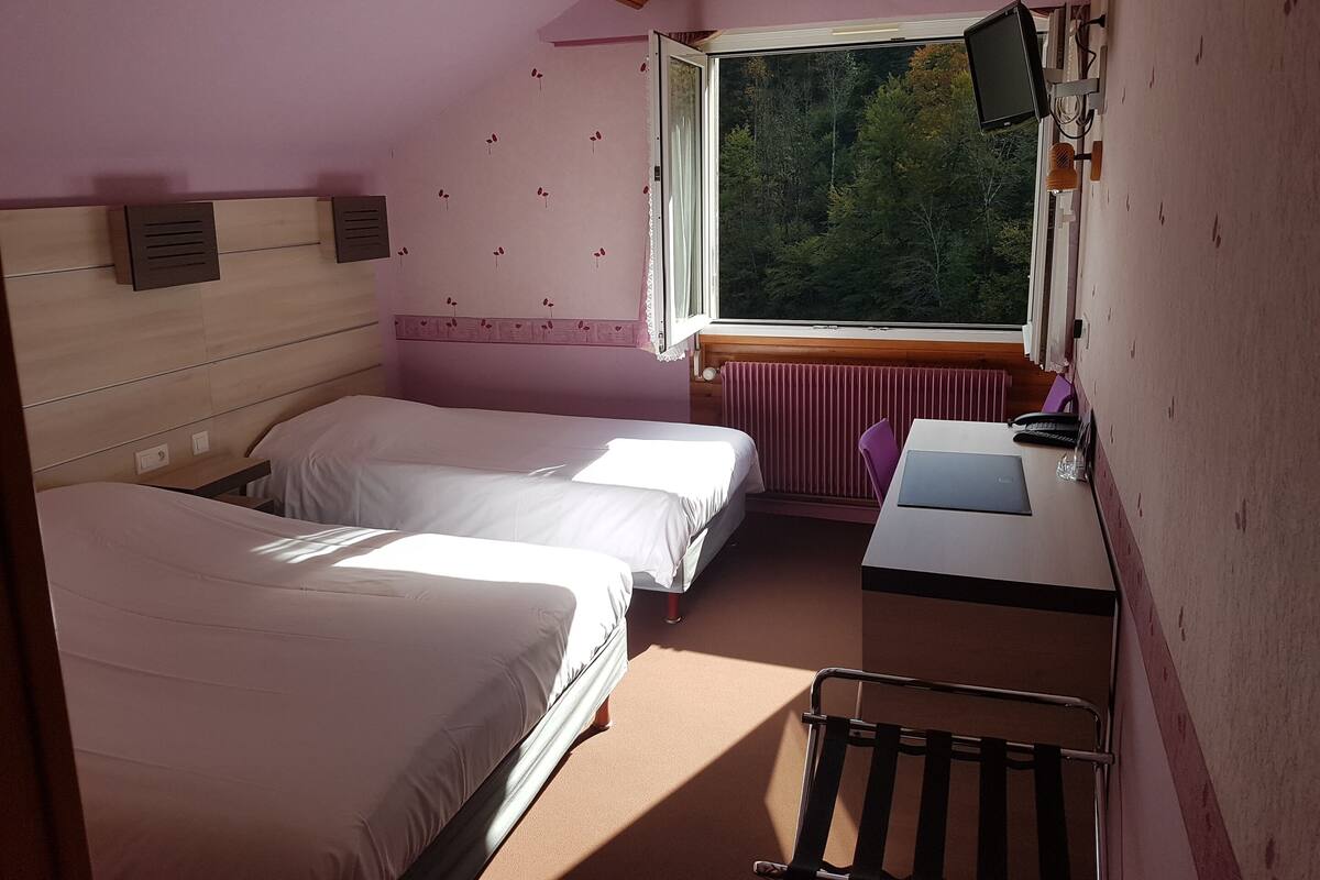 Ein Zimmer mit zwei Betten, einem Schreibtisch, einem Stuhl, einem Heizkörper und einem Fenster mit Blick auf Bäume.