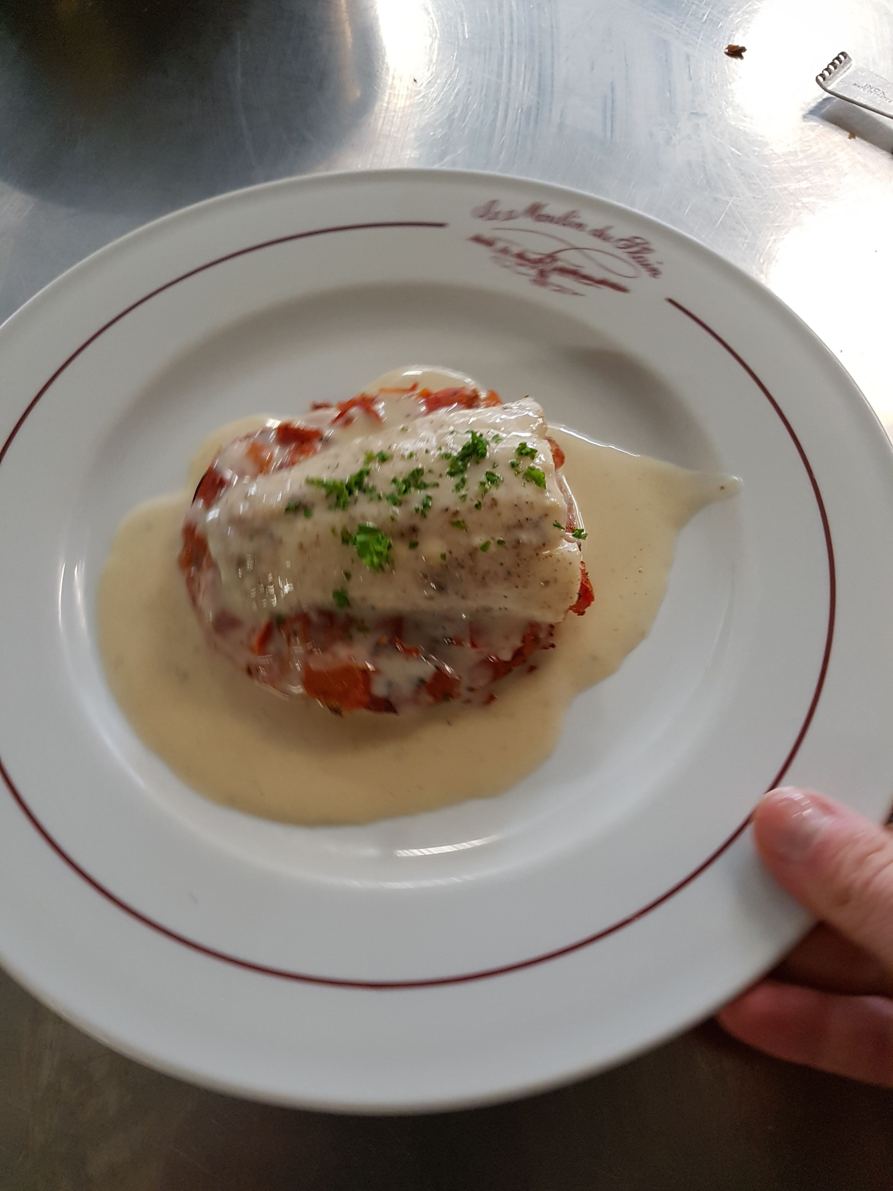 A plate with a food item covered in sauce and garnished with herbs, held by a hand.