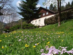 Jardín