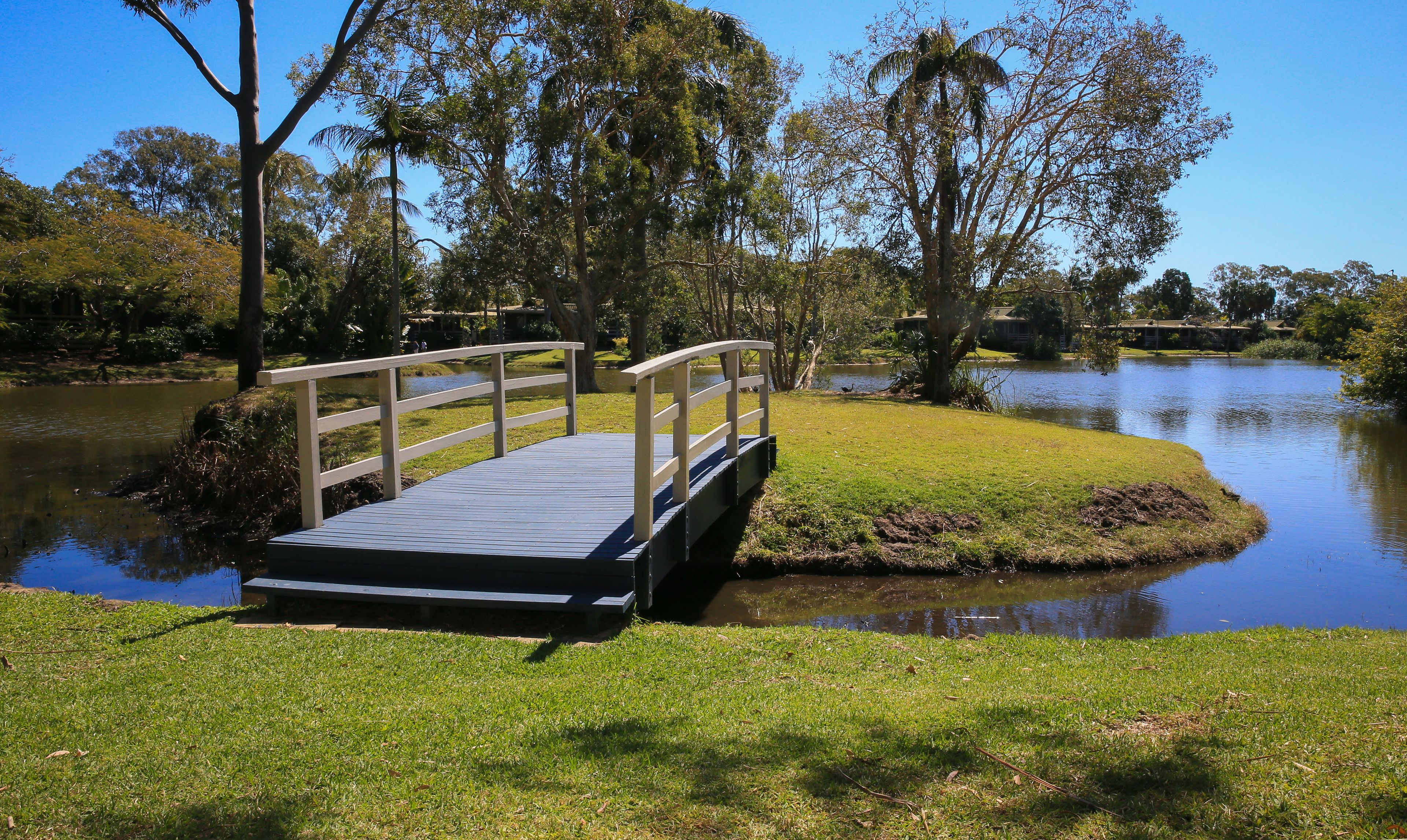 A wooden bridge over a calm pond with grassy banks and trees in the background.