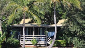 A house with a porch, surrounded by palm trees and a pond. - Sanctuary Lakes Fauna Retreat (Urangan)