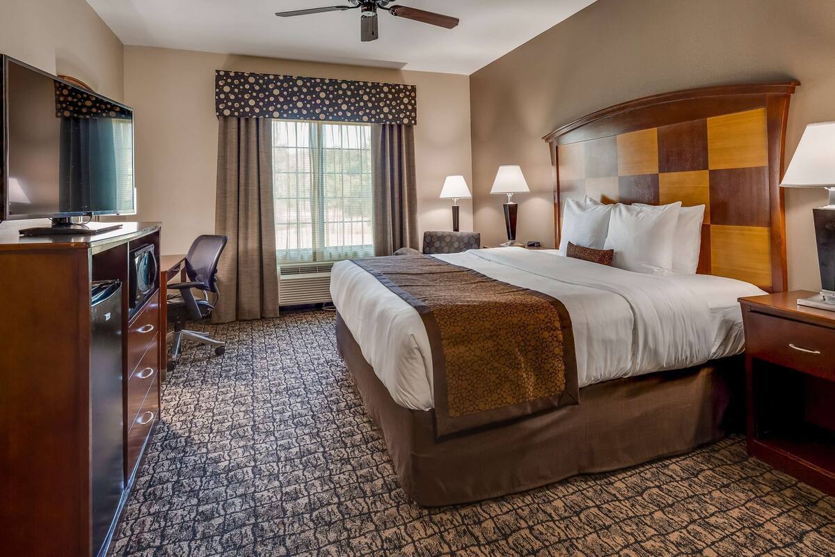 A hotel room with a bed, desk, TV, and a ceiling fan.
