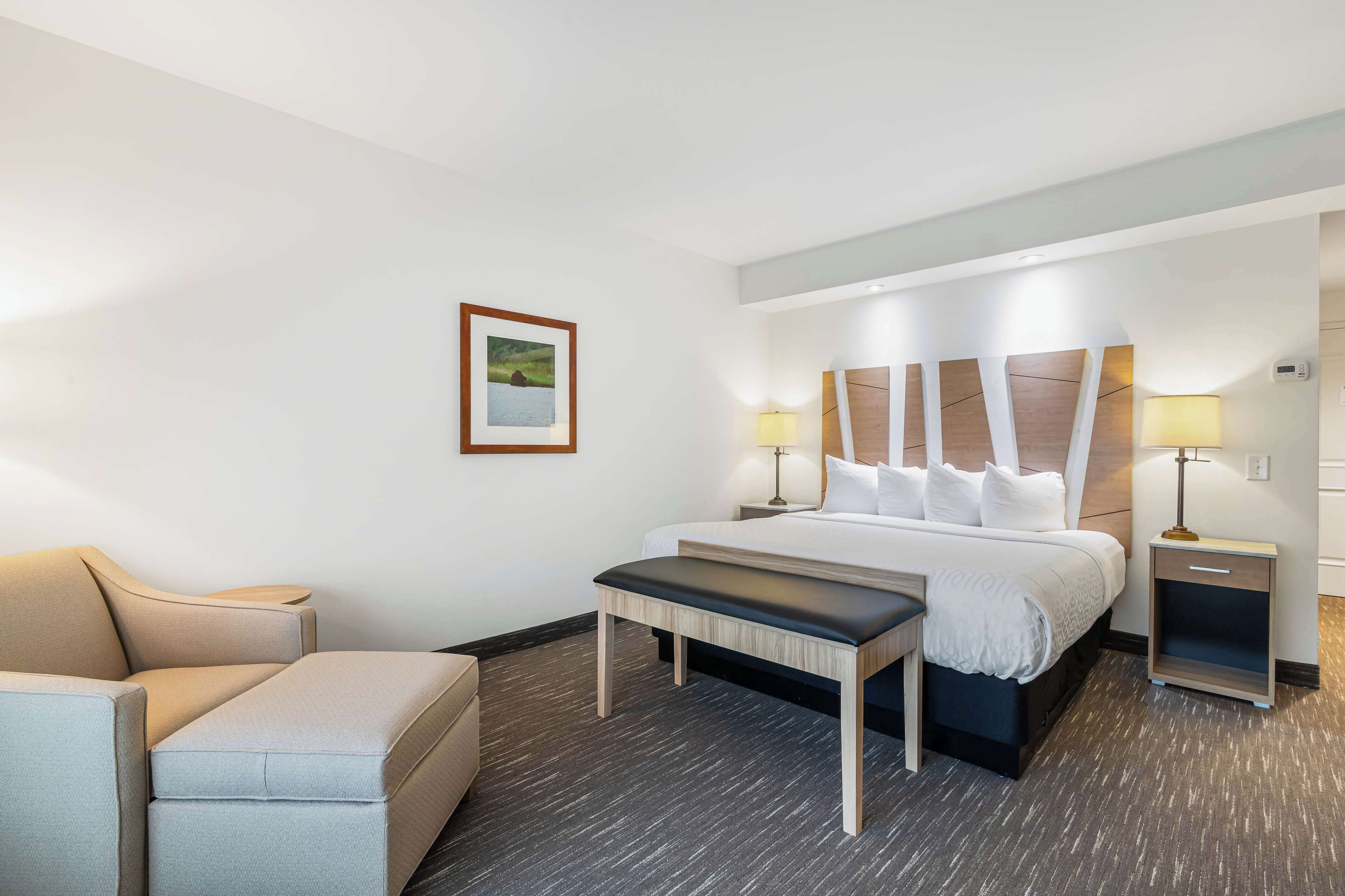 Standard Room, 1 King Bed, Accessible, Non Smoking (No Pets)