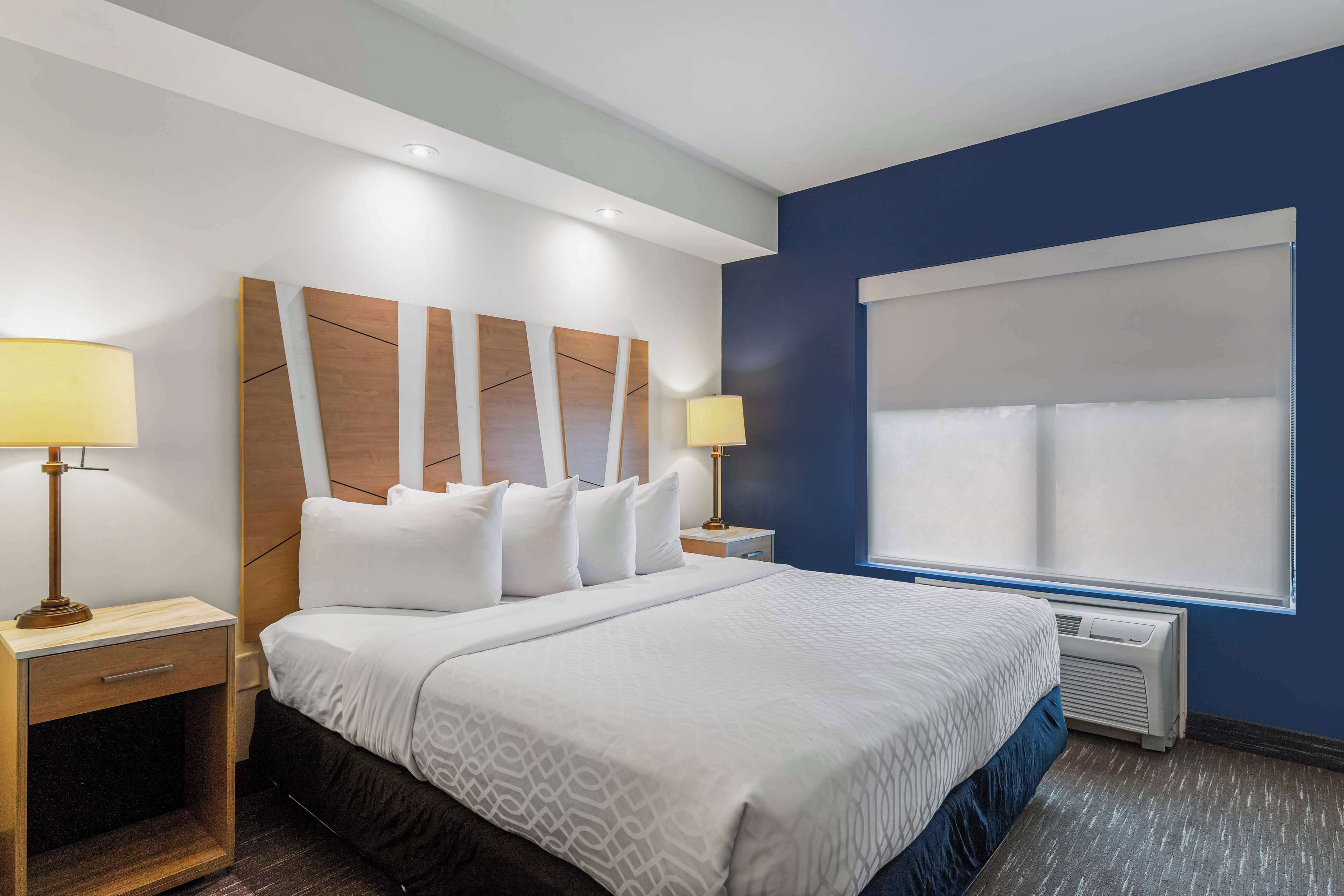 suite, 1 king bed, non smoking, refrigerator & microwave (with sofabed) | 1 bedroom, premium bedding, pillow-top beds, in-room safe