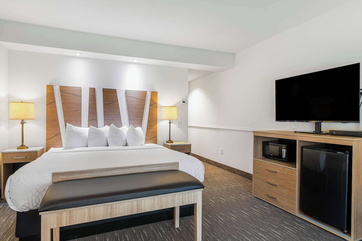 A hotel room with a bed, bedside lamps, a TV, a microwave, and a refrigerator.