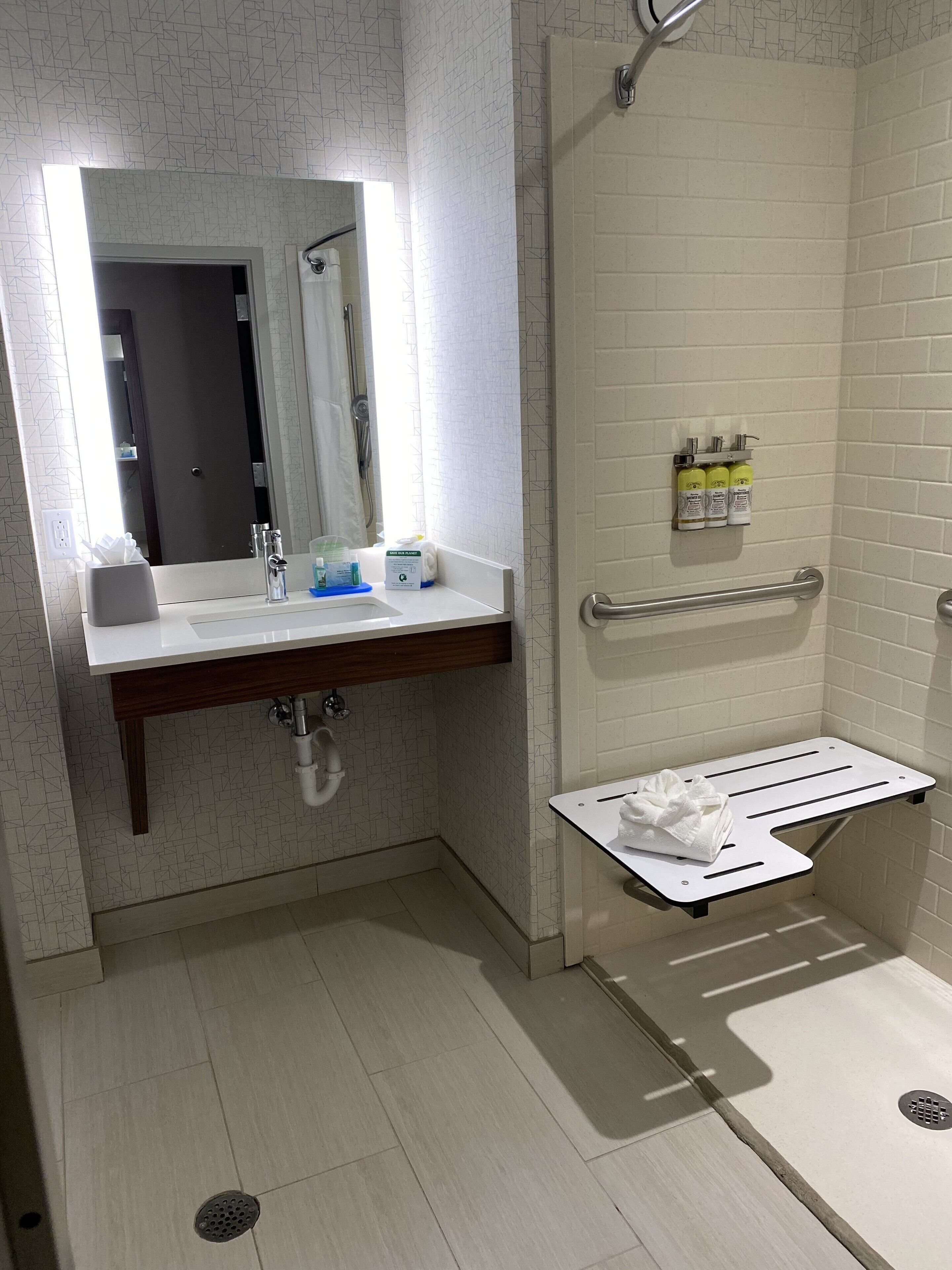 standard room, 1 king bed, accessible (roll-in shower) | bathroom | combined shower/bathtub, hair dryer, towels