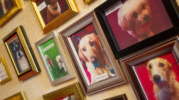 Una pared decorada con marcos que contienen fotografías, presumiblemente de perros, sin texto ni otros detalles identificables.