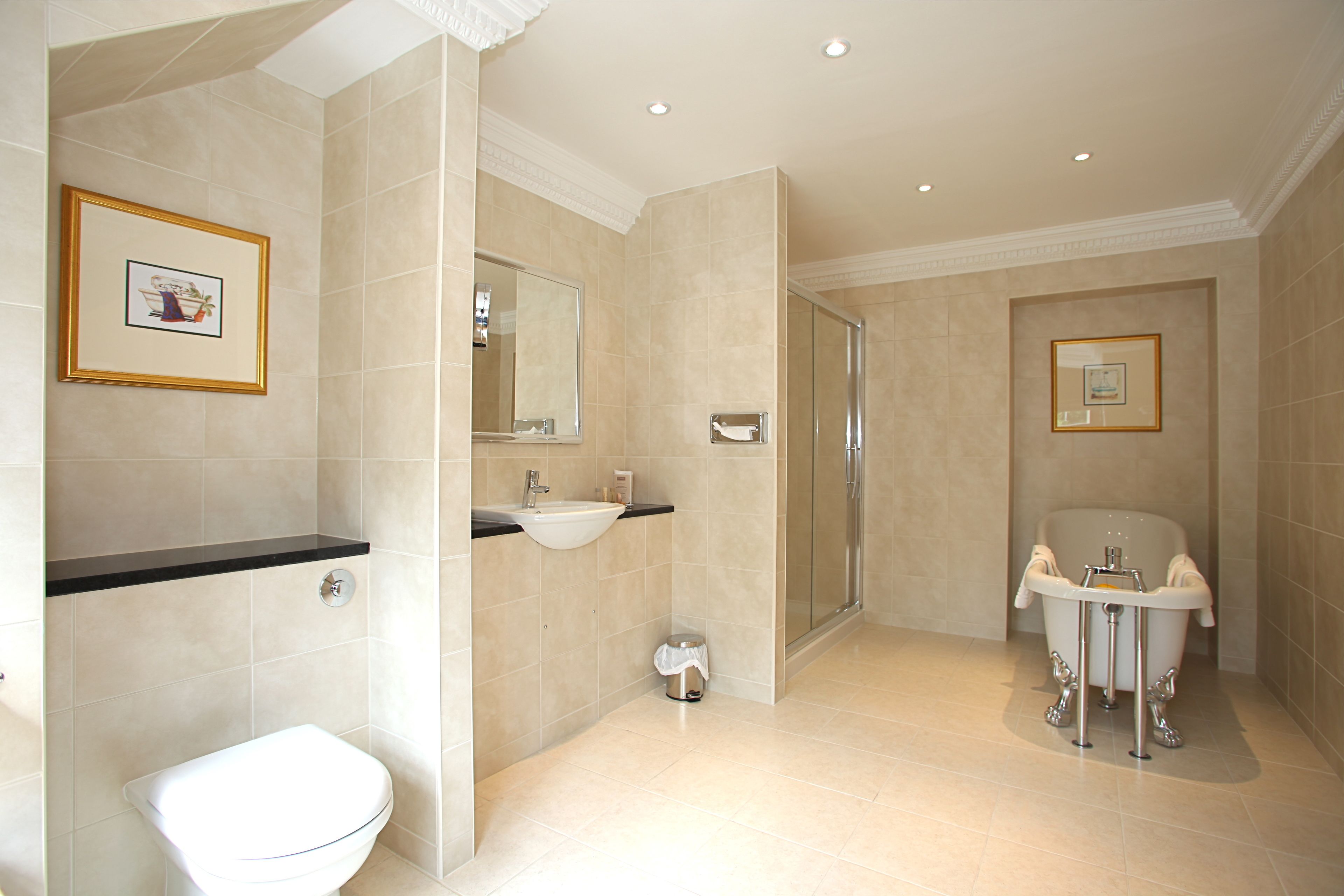 combined shower/bathtub, free toiletries, hair dryer, towels