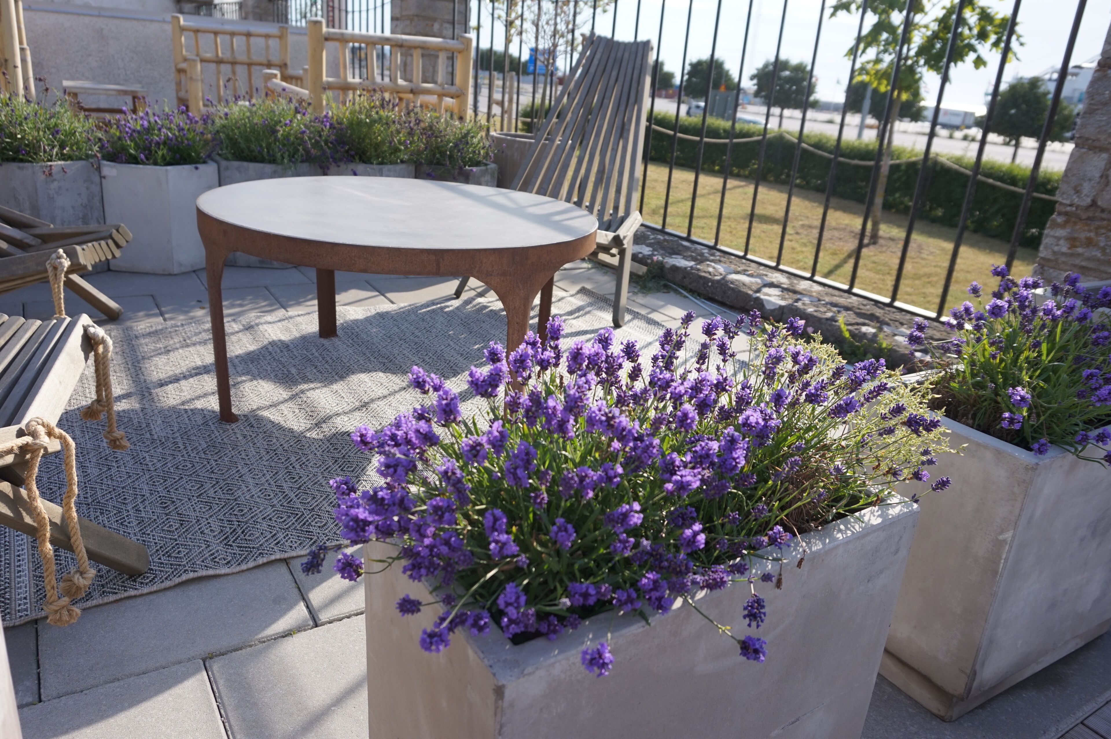 outdoor pool, pool loungers