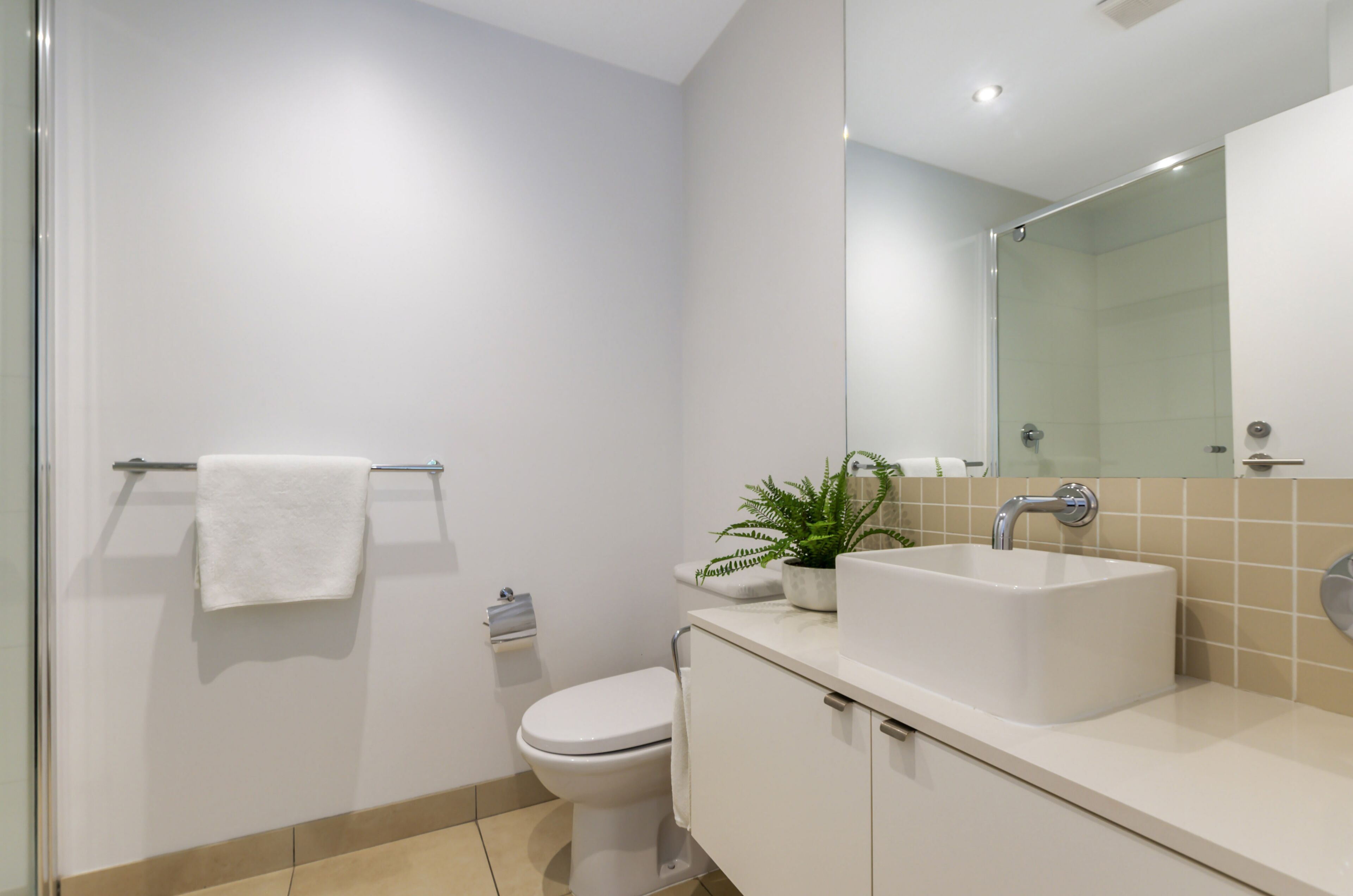 Ein modernes Badezimmer mit Toilette, Waschbecken mit Spiegel und einer Topfpflanze.