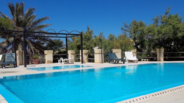 Une piscine à l’eau d’un bleu cristallin, entourée de chaises longues et de palmiers.