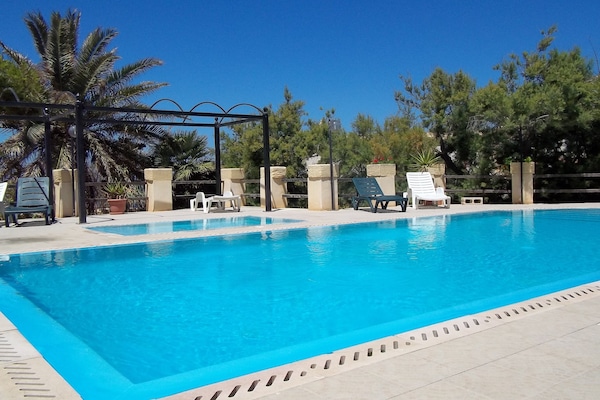 Seasonal outdoor pool, sun loungers