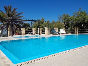 A swimming pool with clear blue water, surrounded by lounge chairs and palm trees.