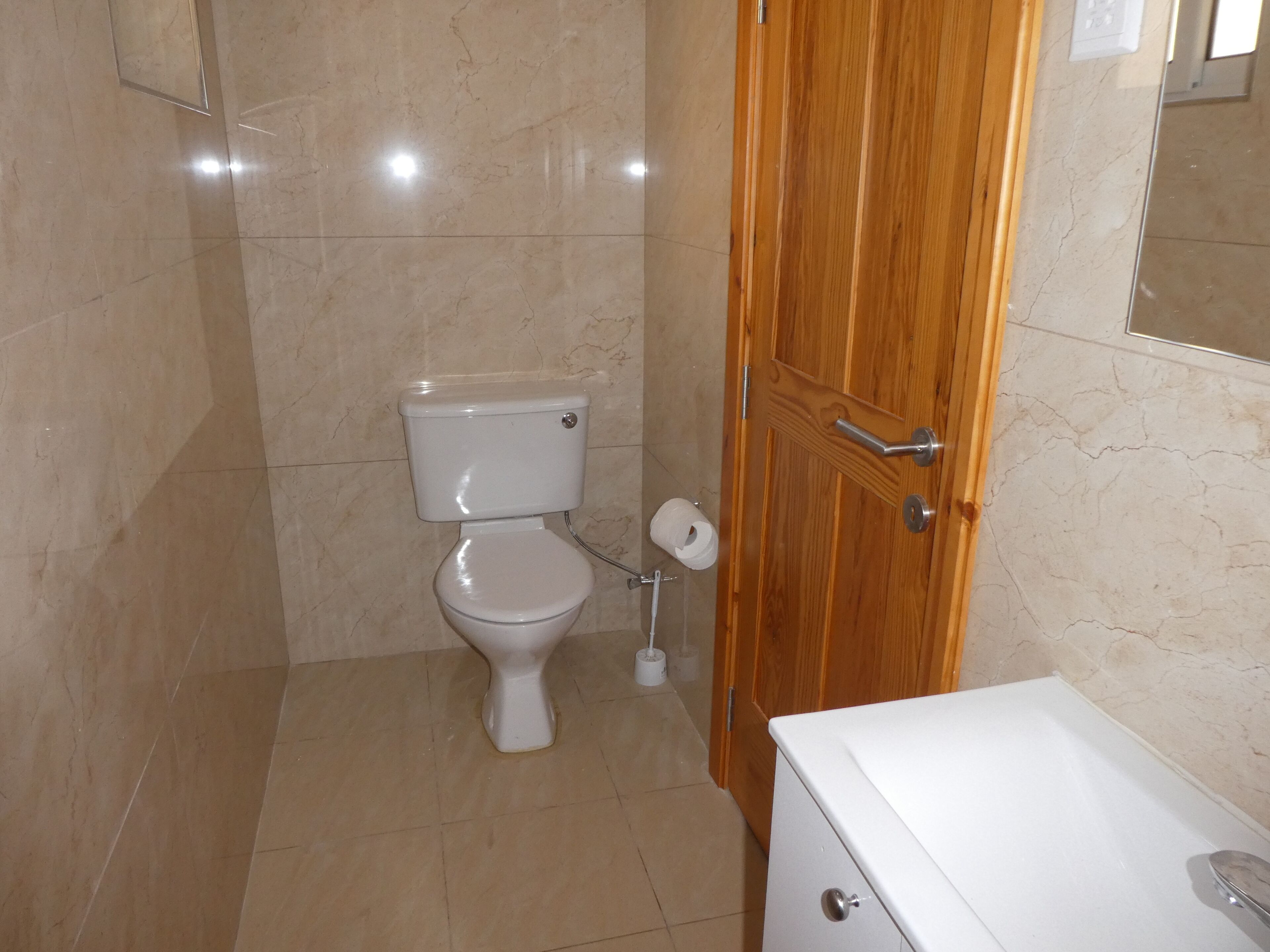 A bathroom with a toilet, a wooden door, and a white sink.