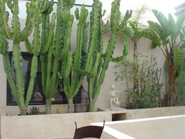 Terraza en la azotea