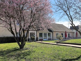A building with a garden, a pathway, and a tree with pink blossoms.
