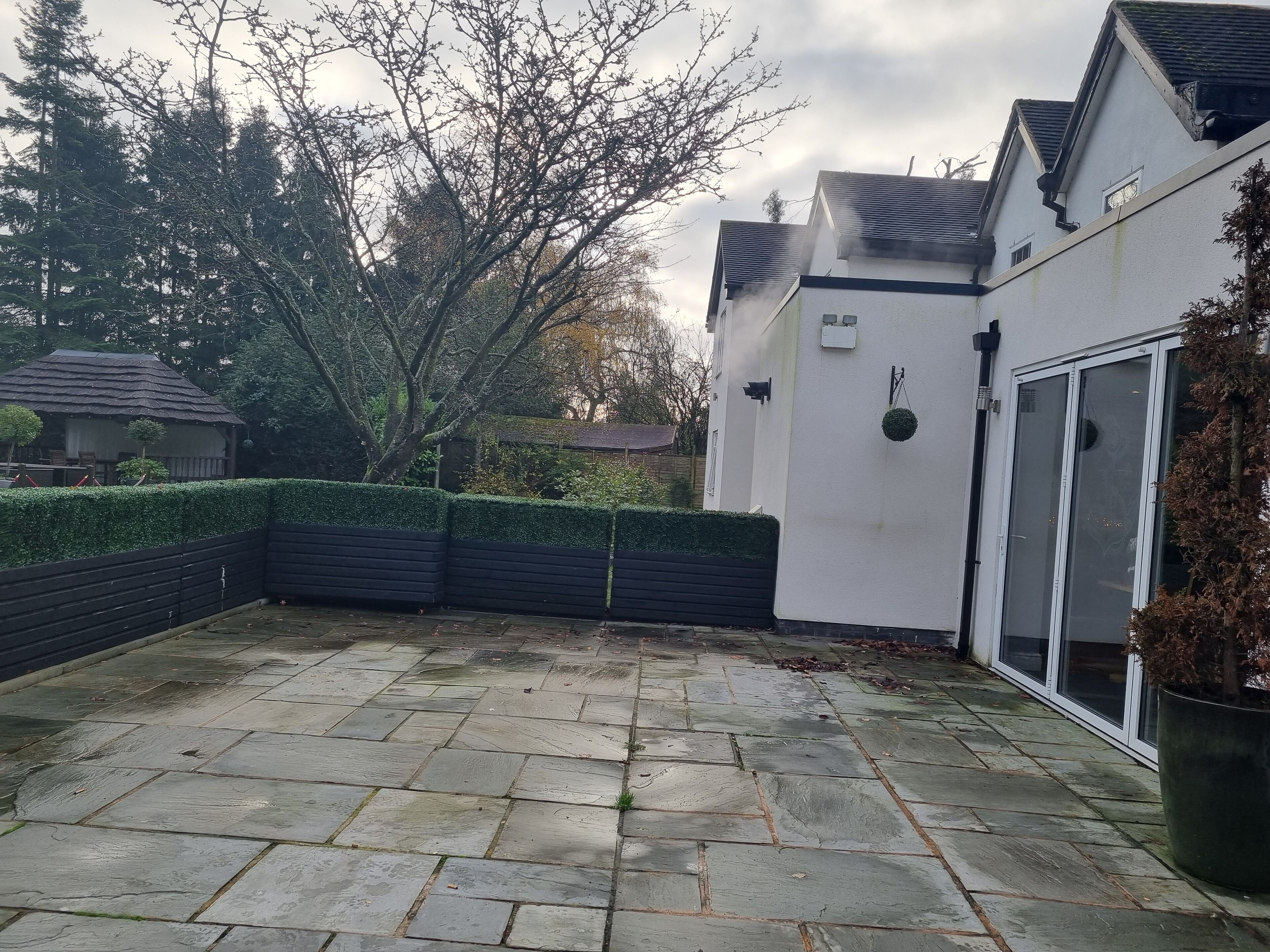 A stone patio with a hedge and a potted plant.